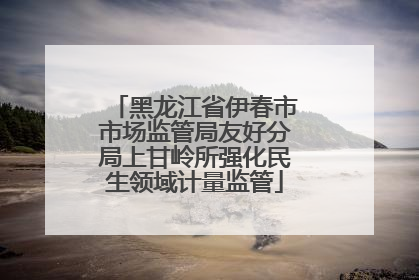 黑龙江省伊春市市场监管局友好分局上甘岭所强化民生领域计量监管